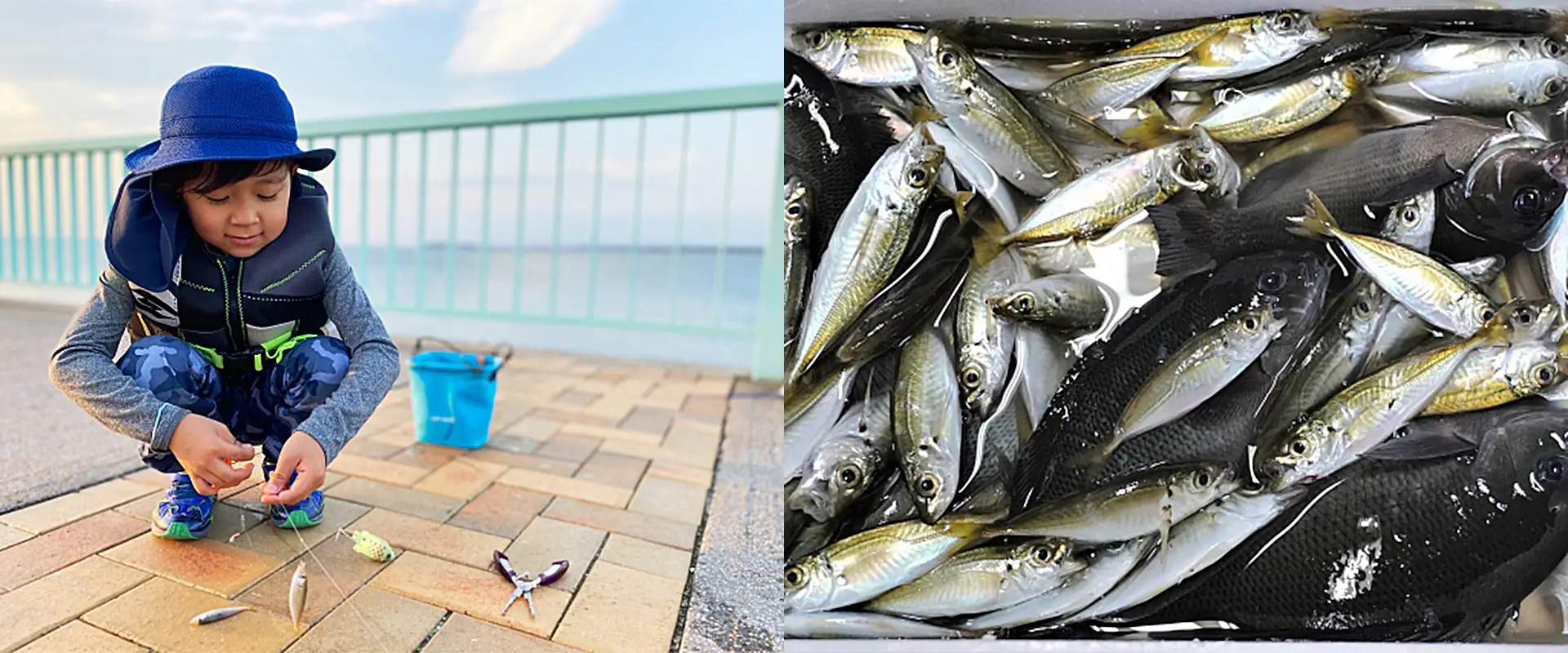 サビキで釣れる時間帯と釣れない原因？釣れる人と釣れない人 まとめ