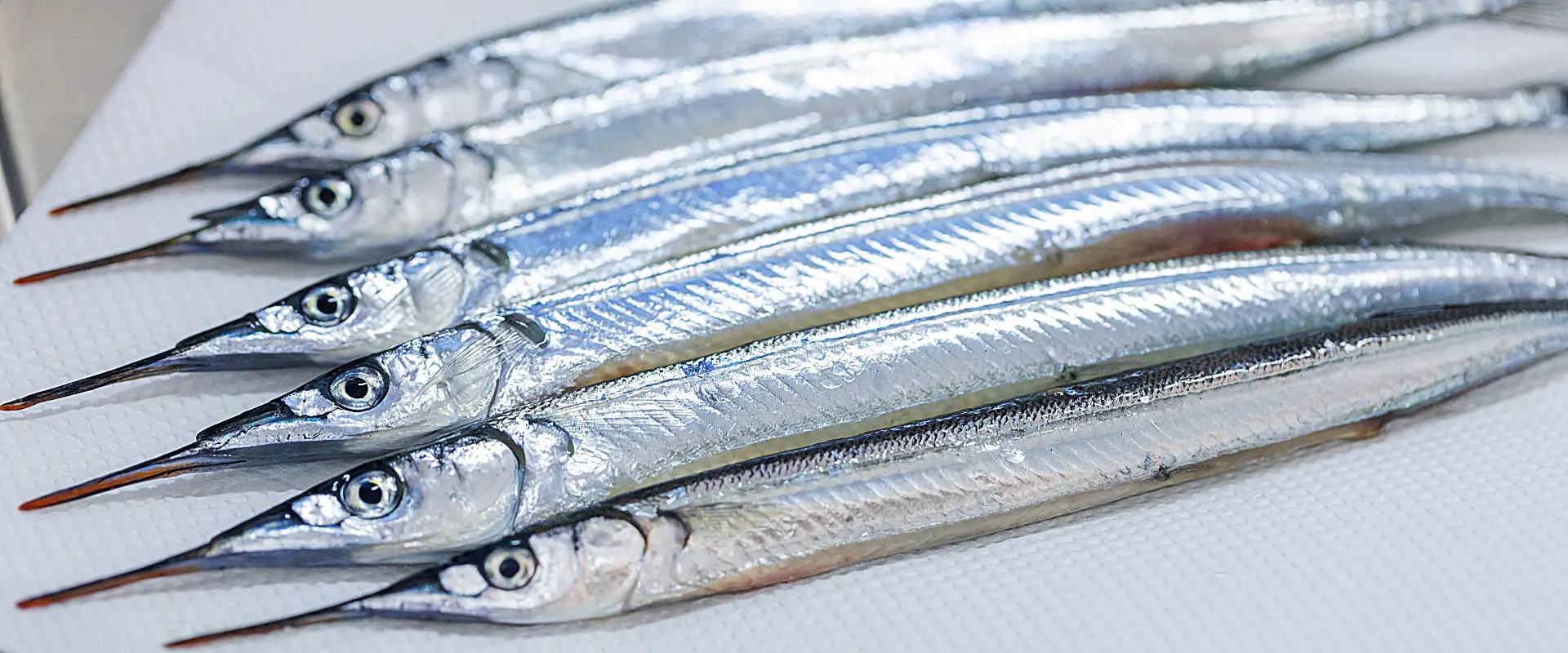 小さい（エンピツ）サヨリの食べ方は骨ごとフライパンで塩焼き