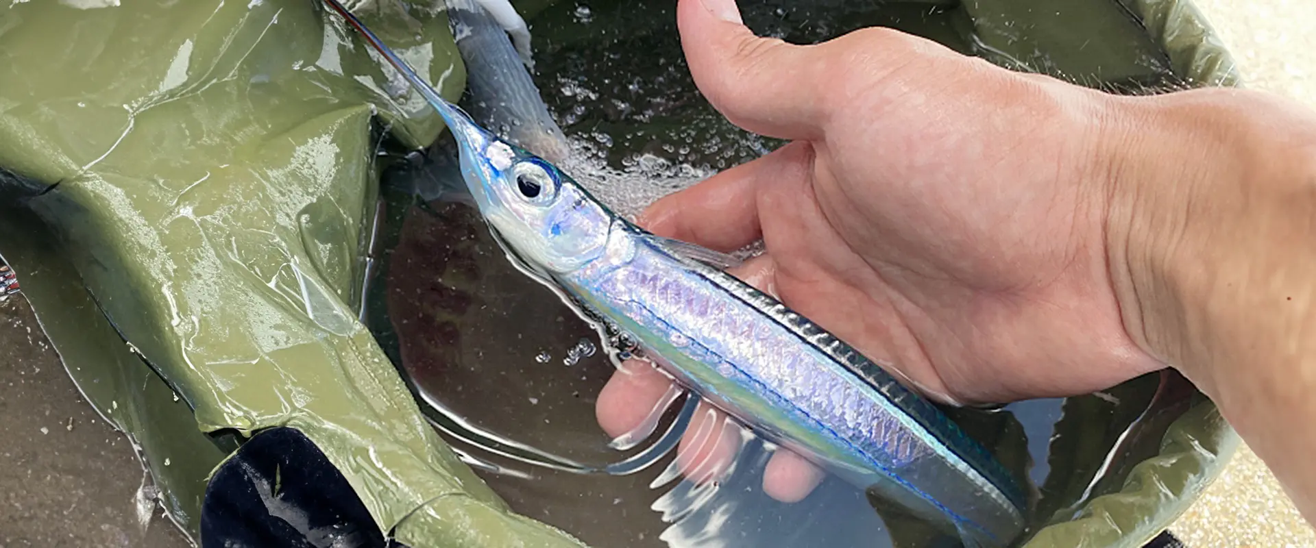 小さいと小骨ごと