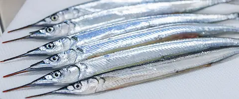 小さい（エンピツ）サヨリの食べ方は骨ごとフライパンで塩焼き