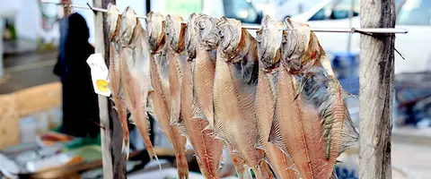 臭いソウハチ（宗八）カレイの美味しい食べ方は塩焼き？まとめ