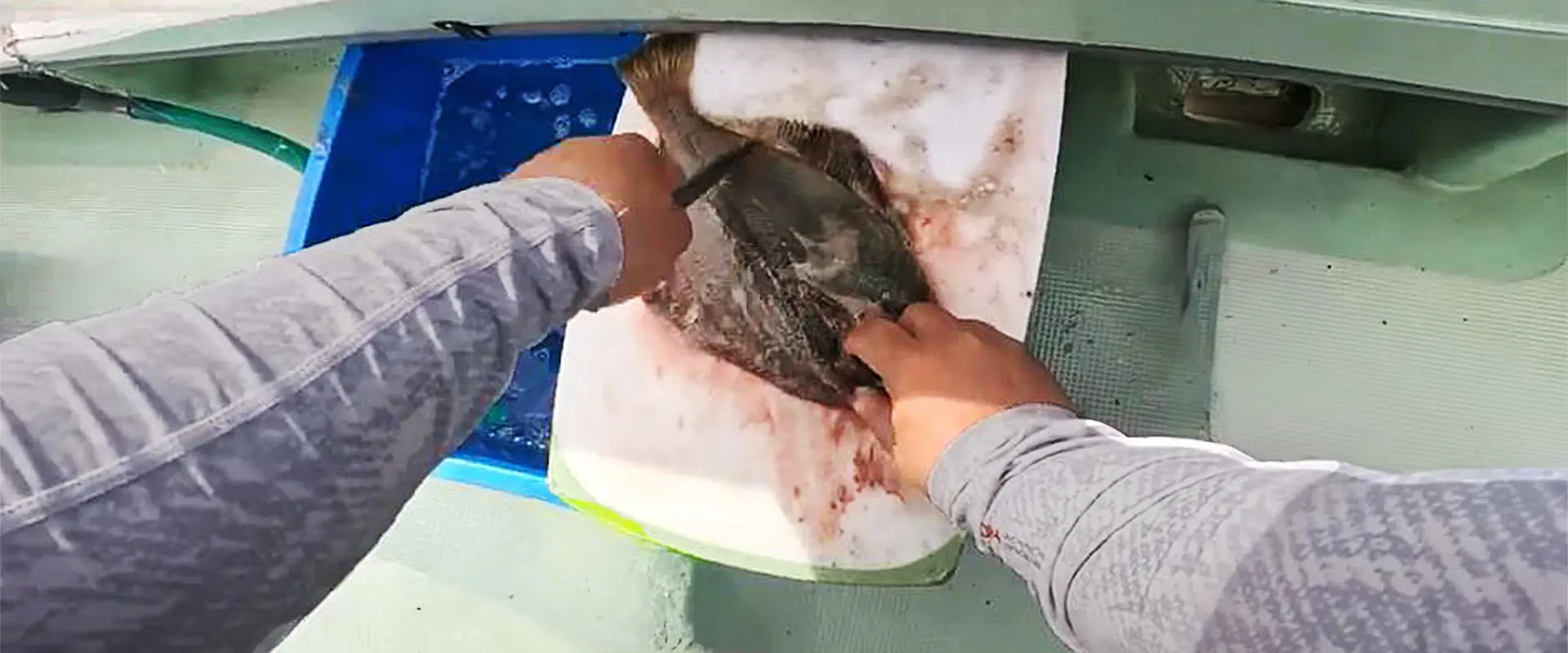 船上の処理方法 臭み取り