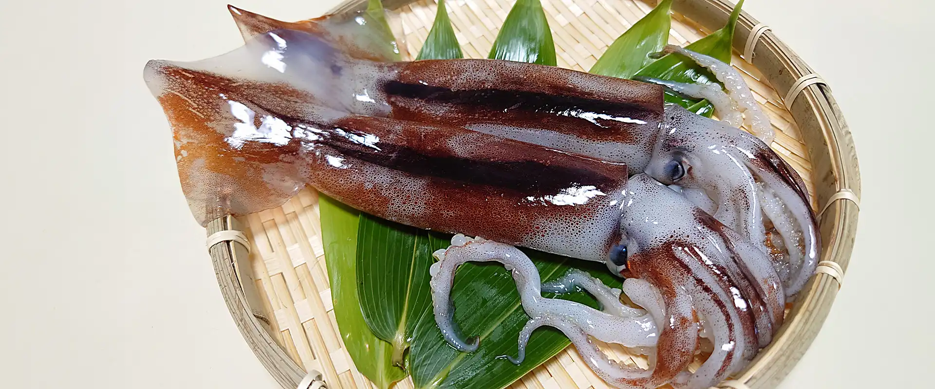 スルメイカの刺身は危険？味はまずいの？食べてはいけない部分