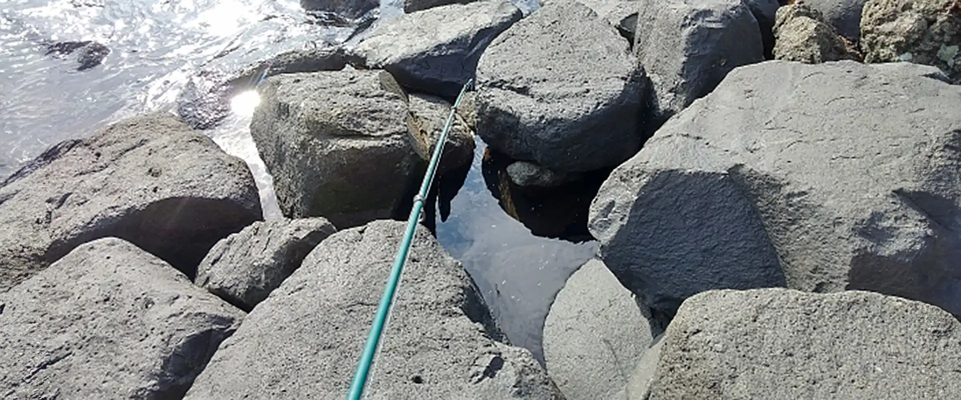 そもそも「穴釣り」とは？どんな釣り？