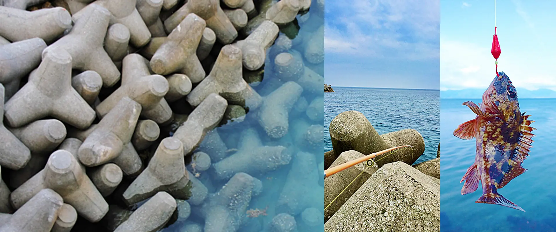 穴釣り餌でコンビニやスーパー買える最強は？よっちゃんイカ？まとめ