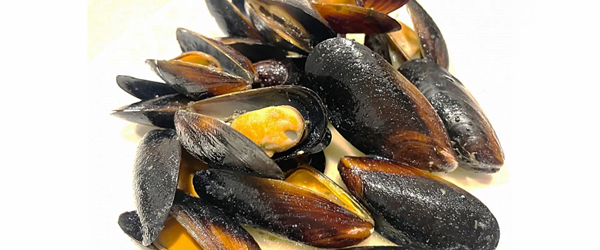 ムール貝とカラス貝の違い