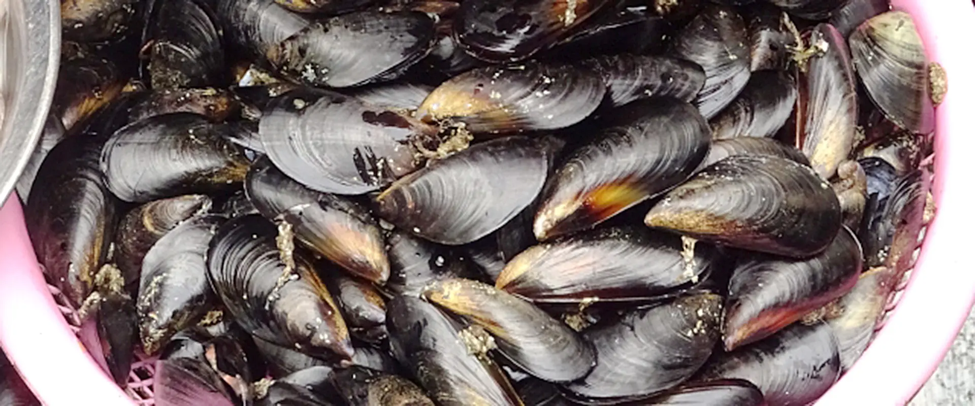 食べると危険？