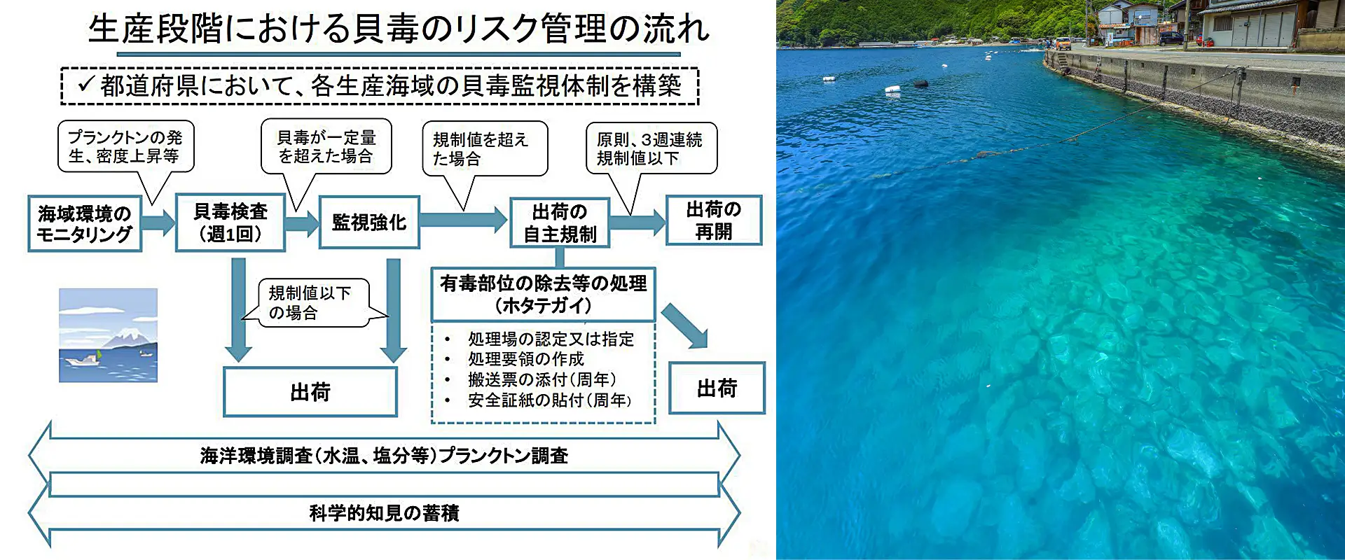 食べられるもの