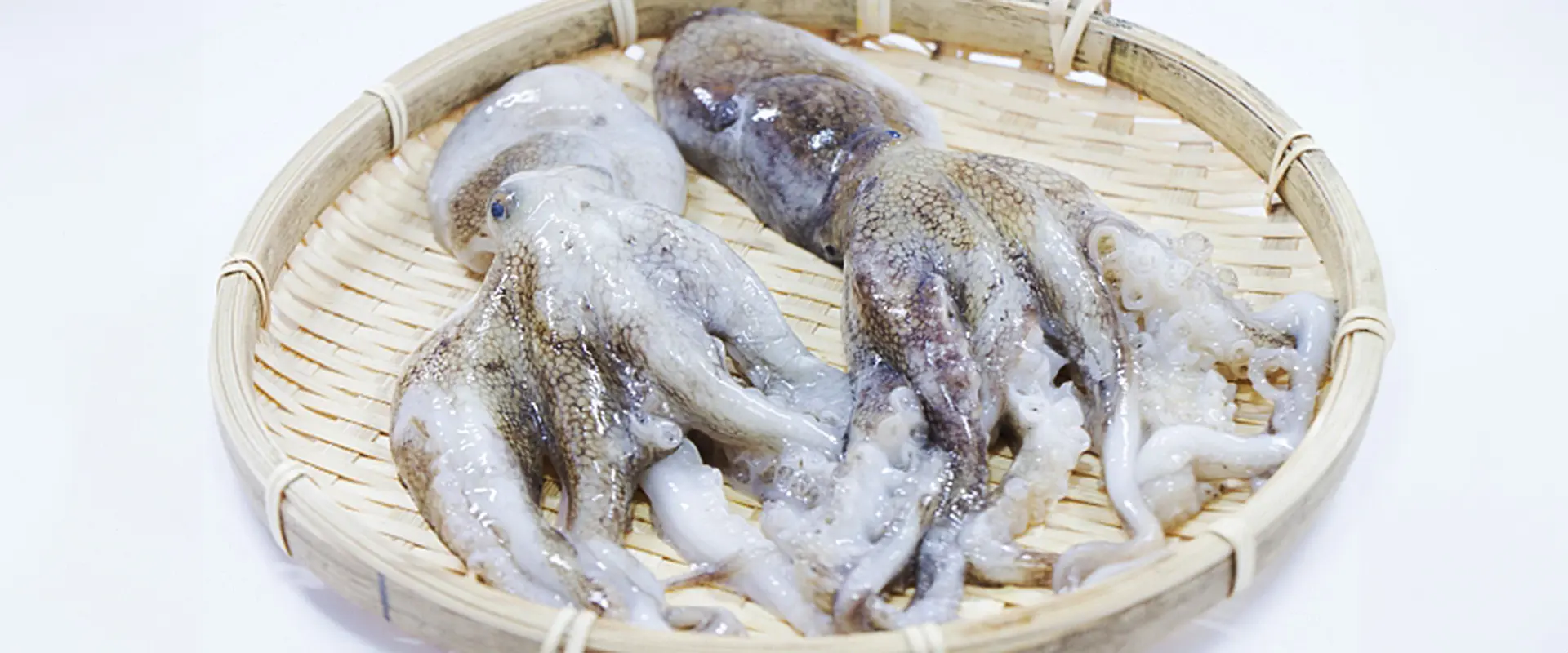 イイダコ売ってる場所と食べ方は？