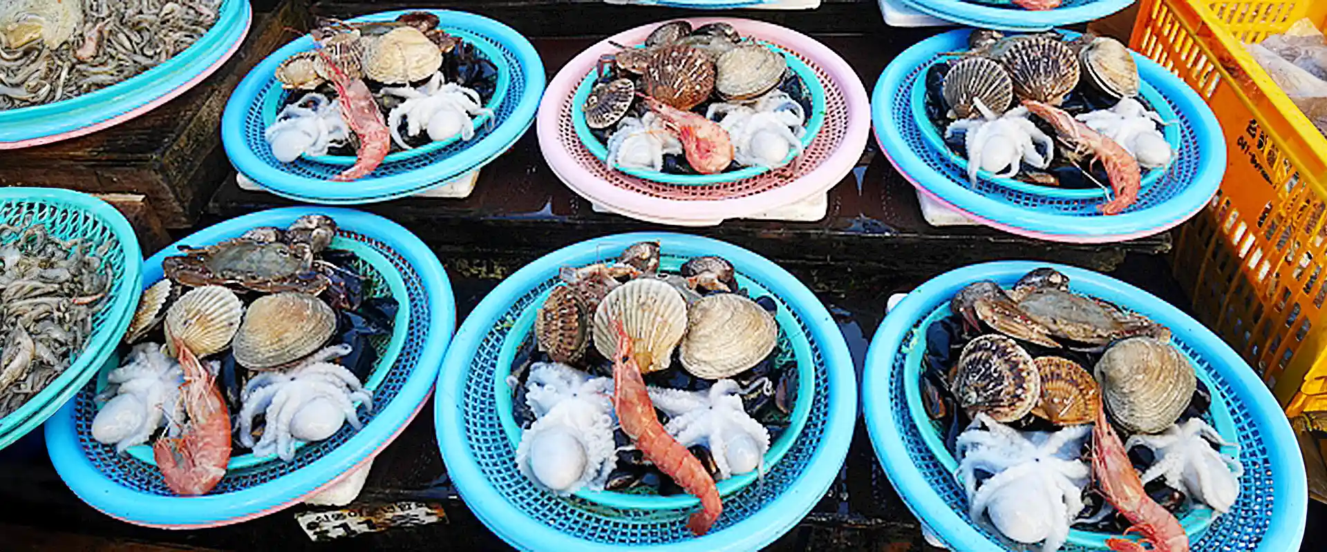 売っている場所