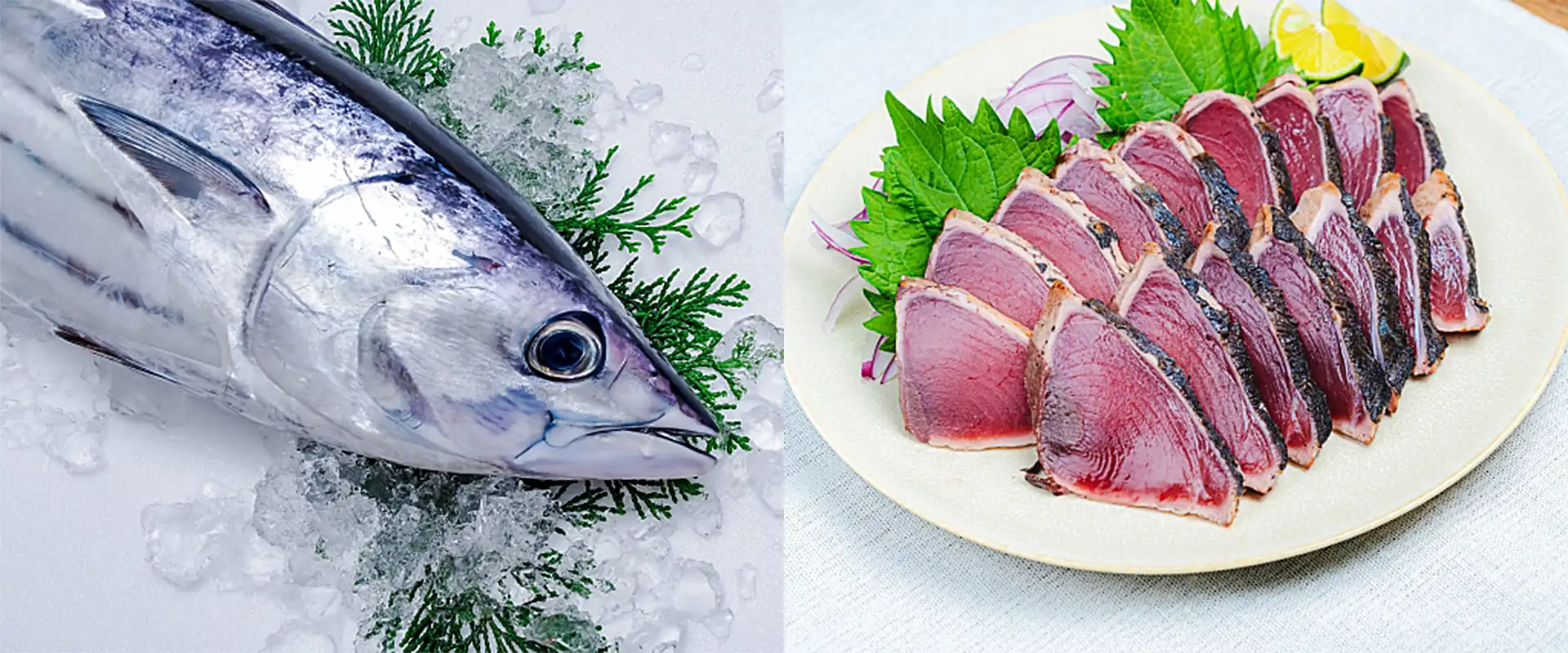 そもそも「かつおのたたき」とは？どんな食べ物？