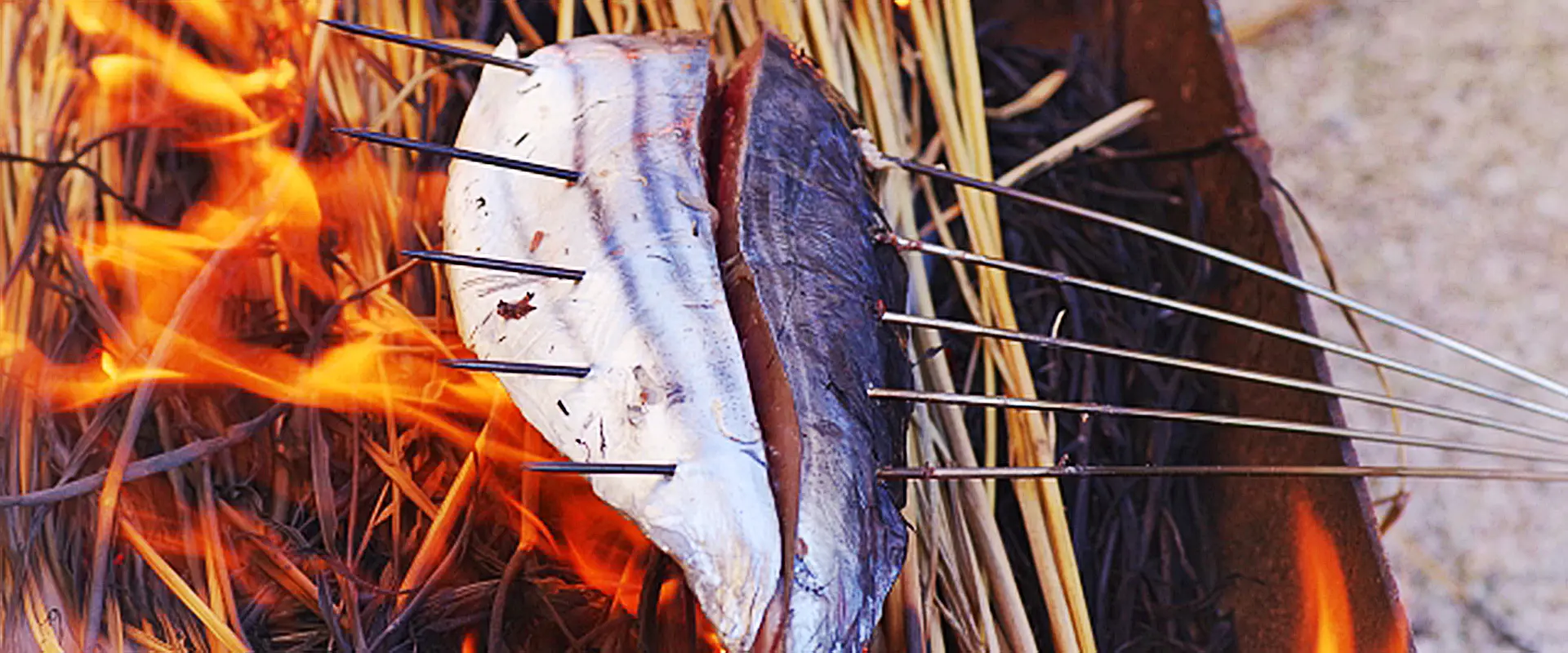 かつおのたたきを毎日食べると体に悪い？食べ過ぎると？まとめ