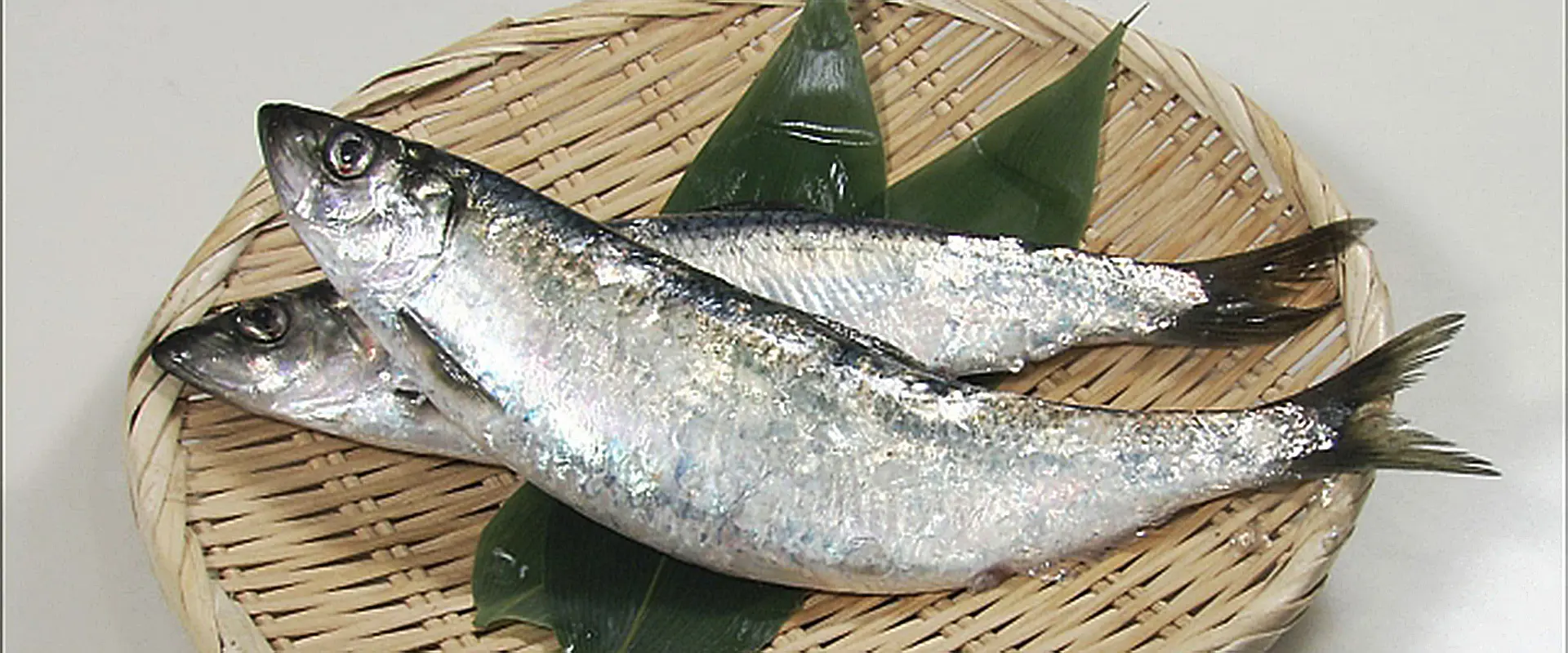 そもそもニシンとは？どんな魚なの？白子は危険？