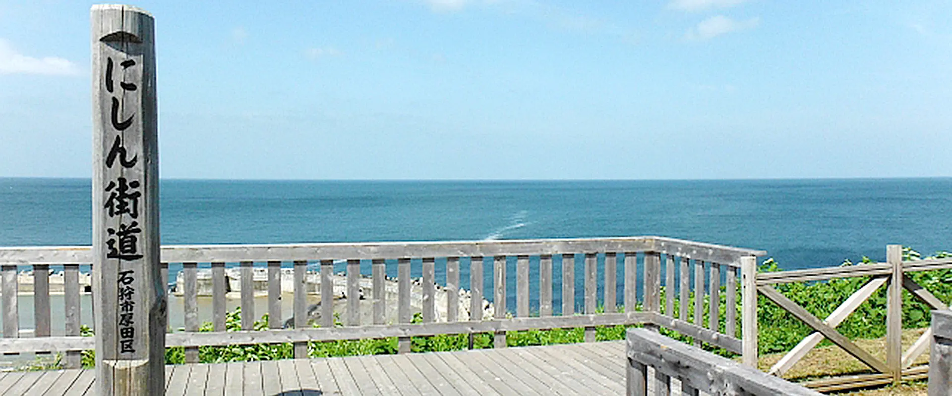 イイダコ釣りの時期は？下処理なし？売ってる場所と食べ方は？まとめ