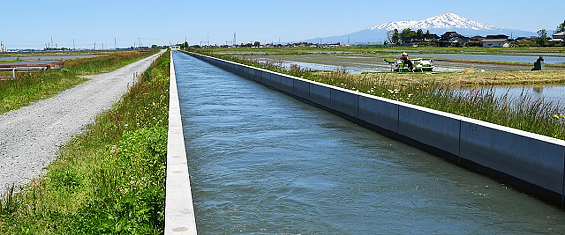 田んぼにいるの？