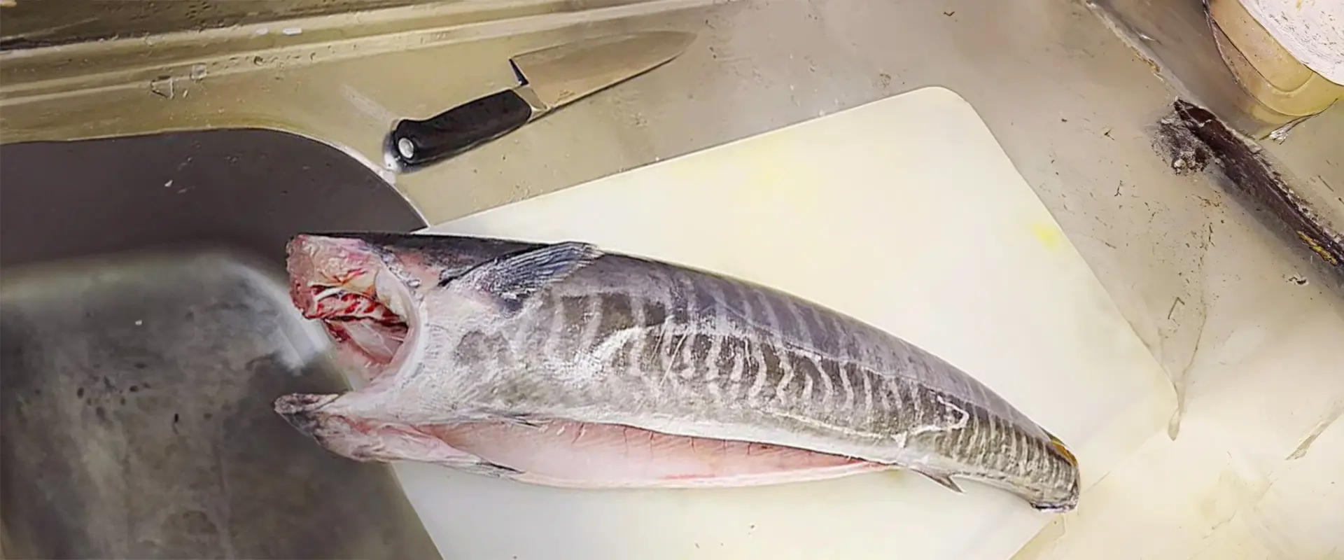 カマスサワラ（沖サワラ）の食べ方のレシピ