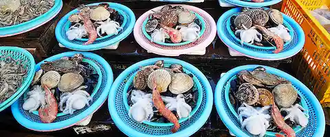 売っている場所