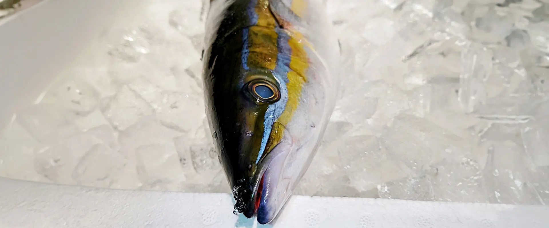 ヒスタミンによる食中毒