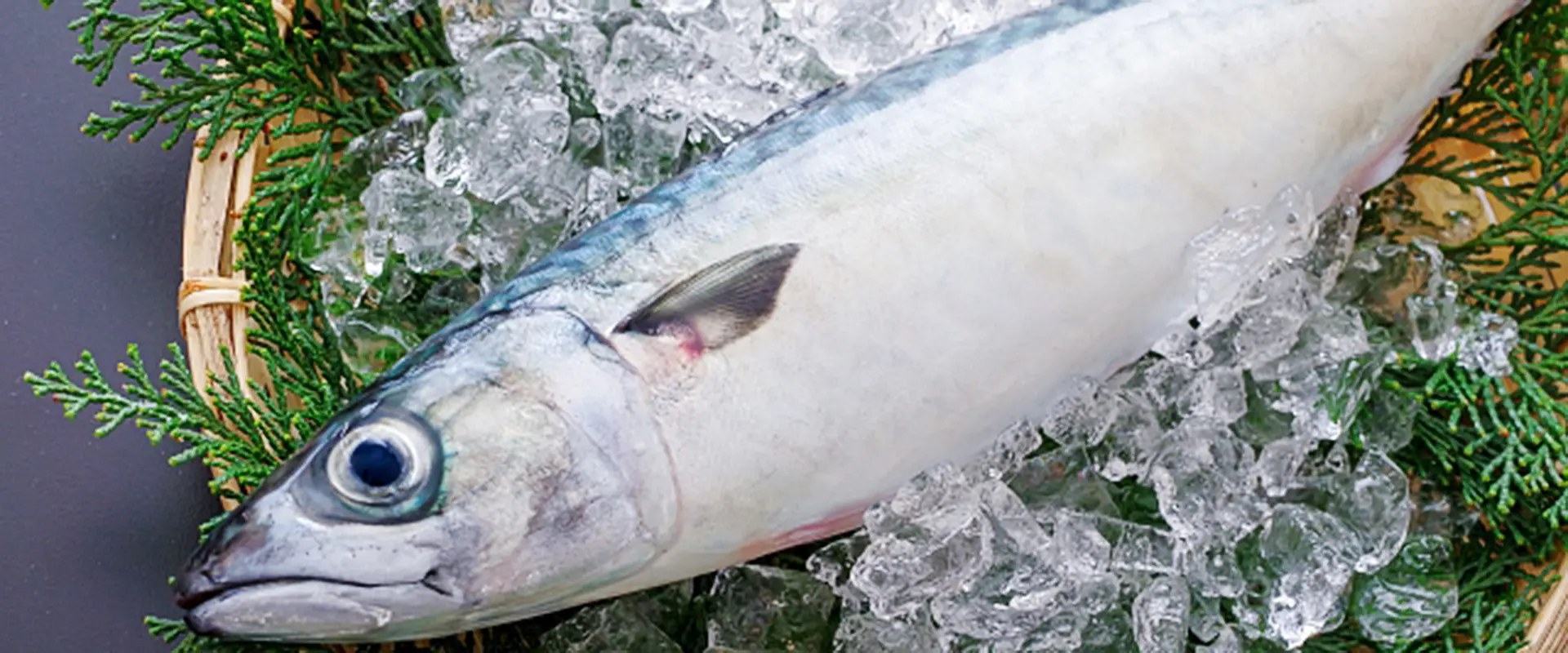 栄養価と健康効果