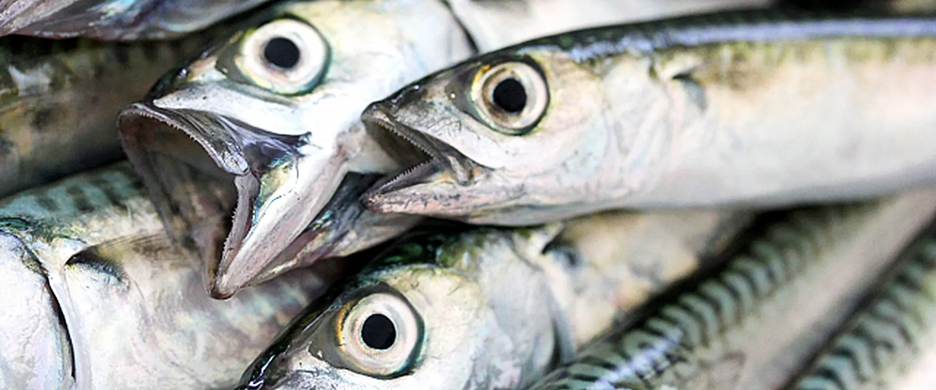 注意すべきポイント