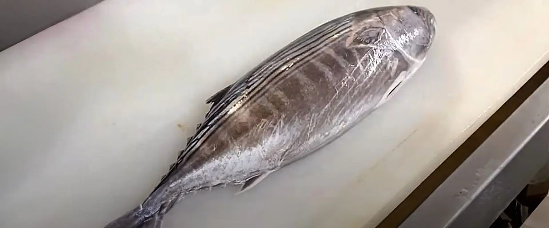 ハガツオの美味しい食べ方は？刺身はまずい？