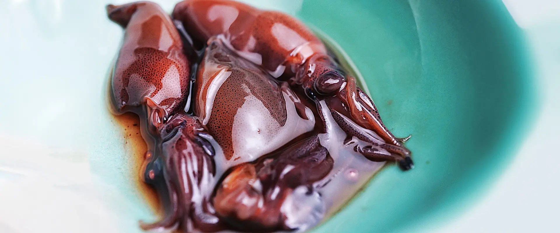 手作りのホタルイカ沖漬けは危ない！寄生虫の冷凍処理は？