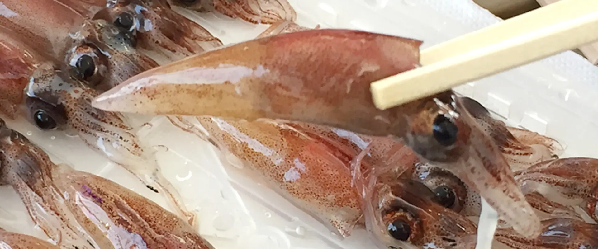 ホタルイカは鮮度が良くても生食は危険？