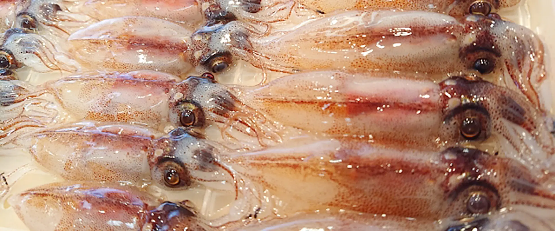 沖漬けは市販の生食用で