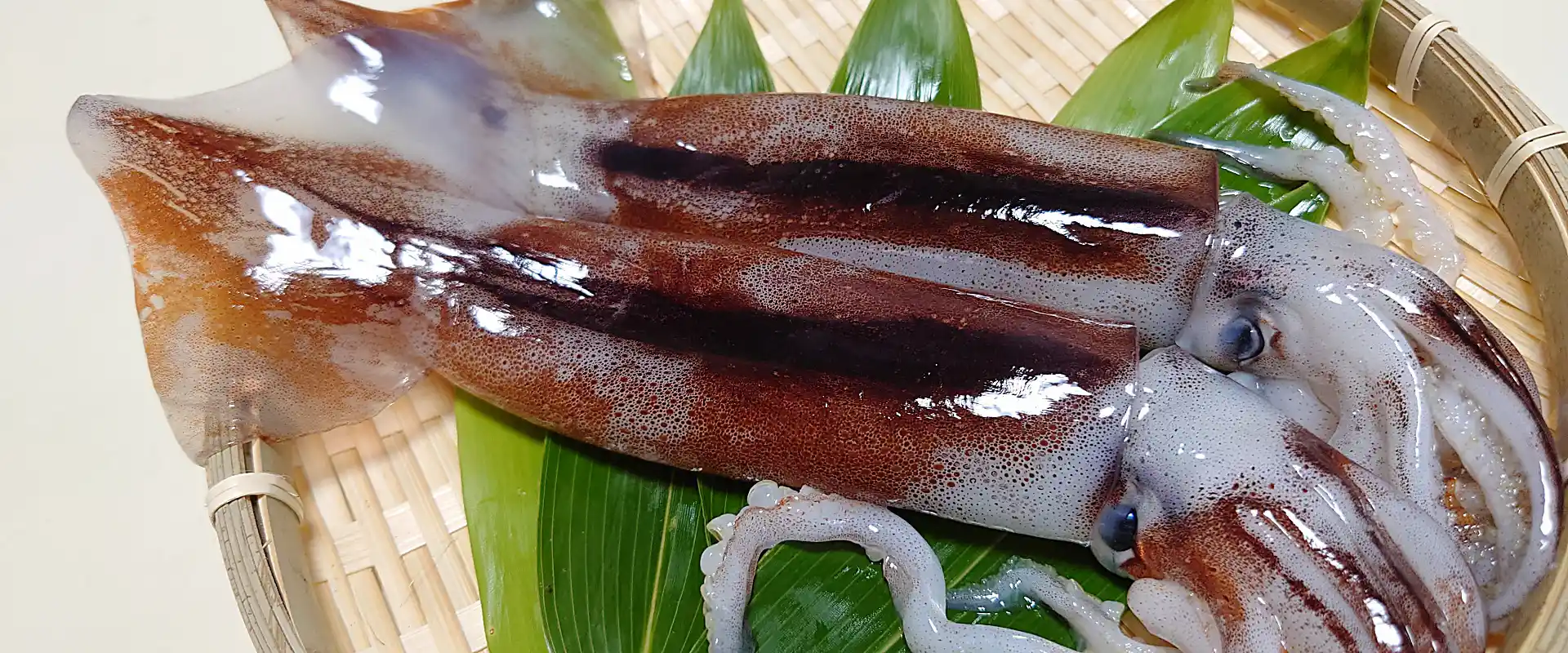 必要な材料と道具