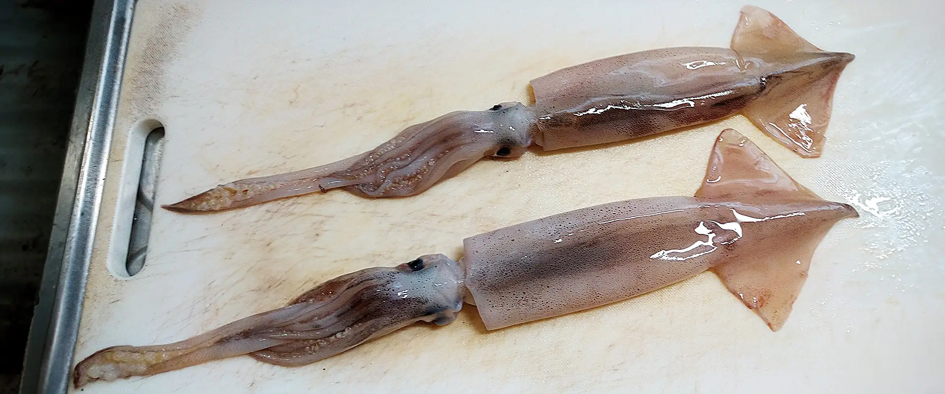 イカ徳利（ぐい呑）作り方！工程順