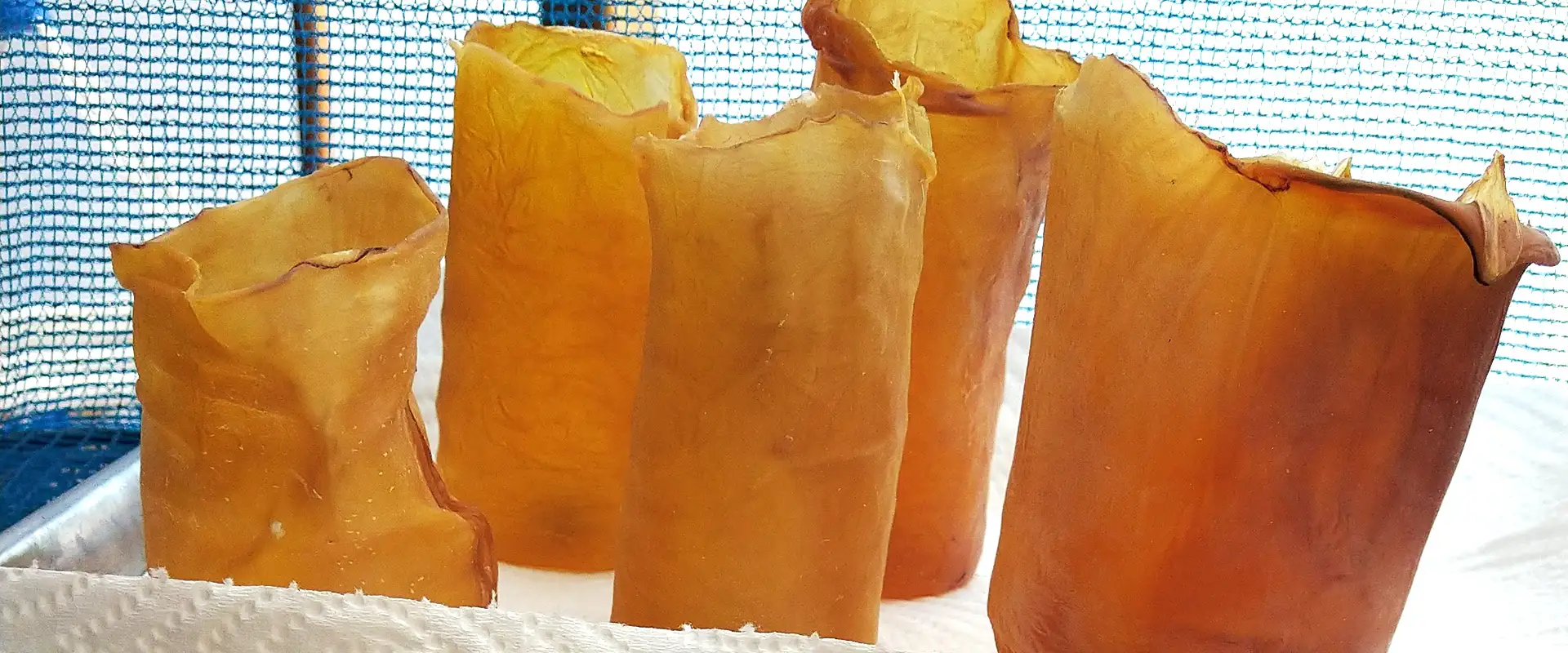 イカ徳利（ぐい呑）の作り方！酒も楽しめてつまみでも食べれる まとめ