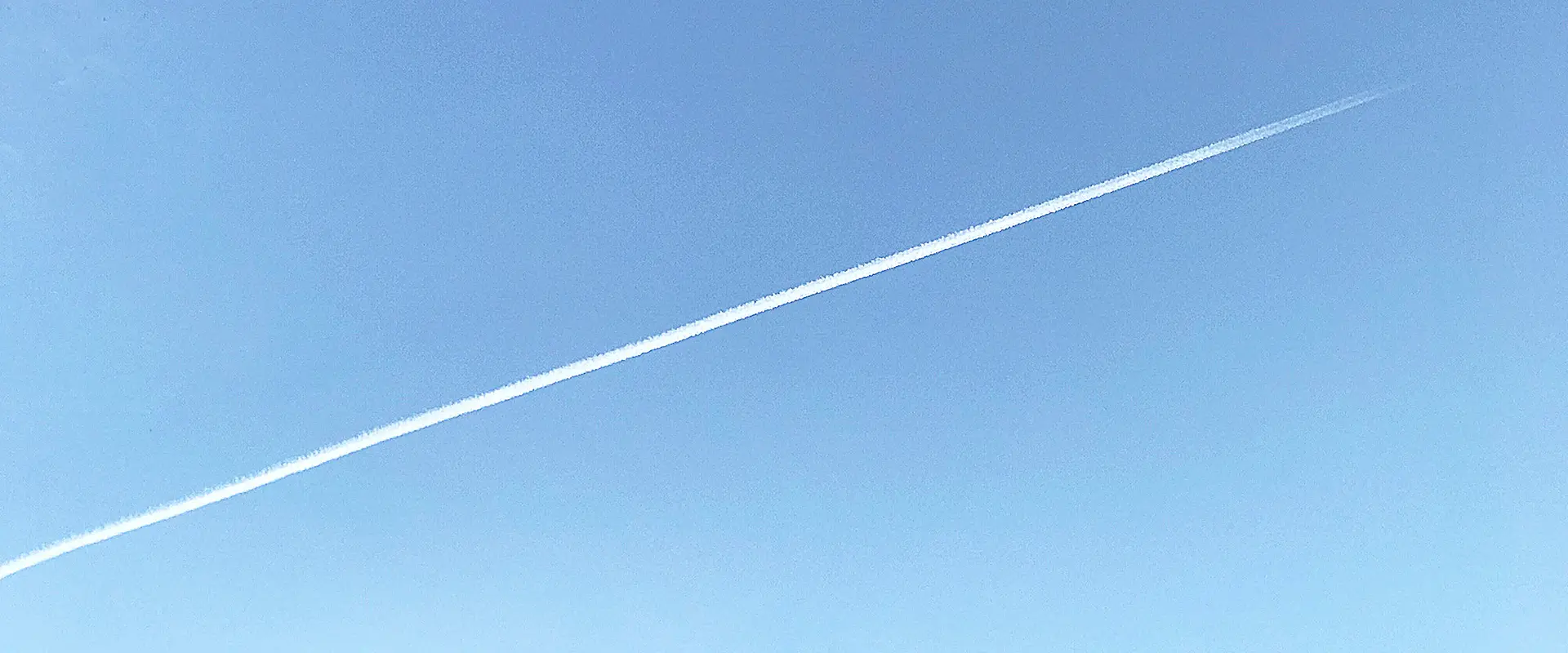 面白いことわざ