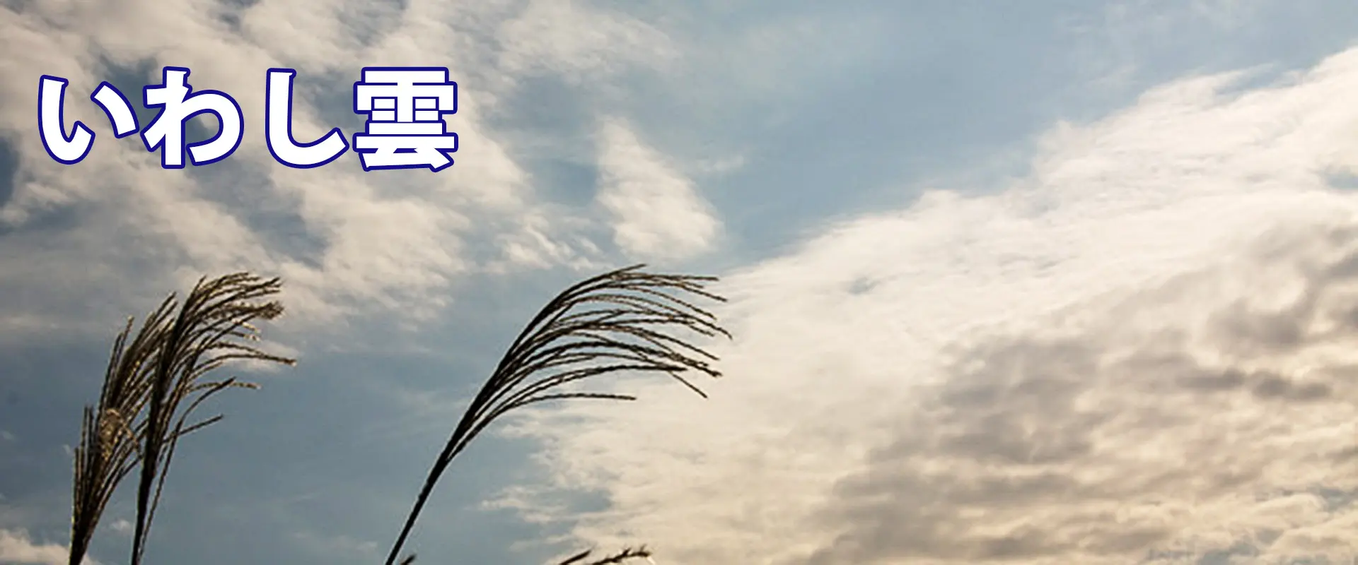 秋のことわざ・言い伝え