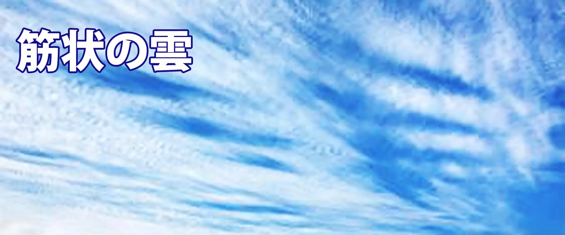 冬のことわざ・言い伝え