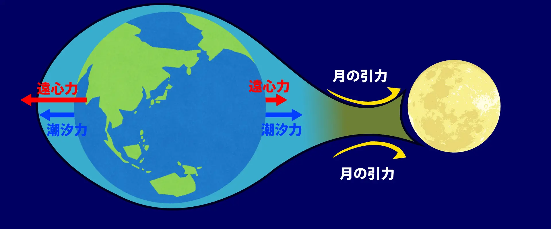 なぜ地球の反対側でも満潮に？