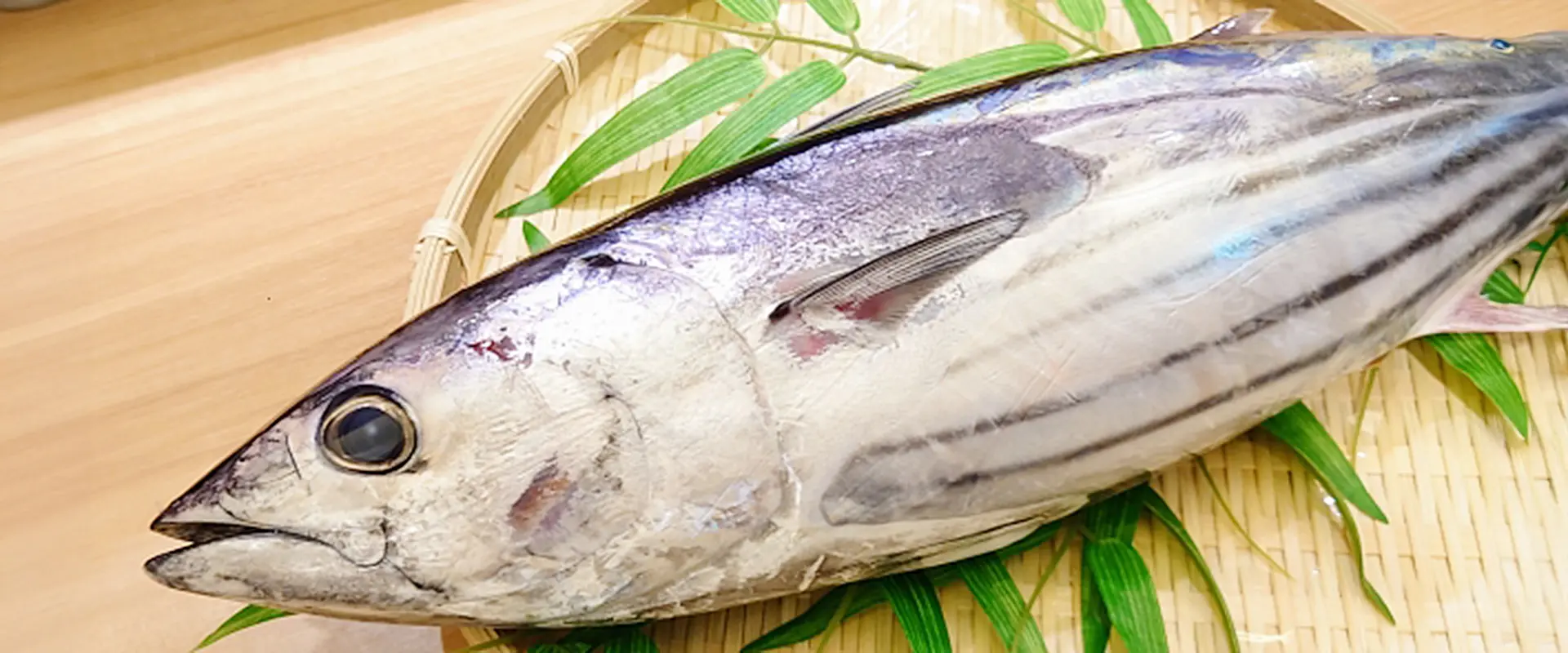 初（上り）鰹とは？時期と特徴