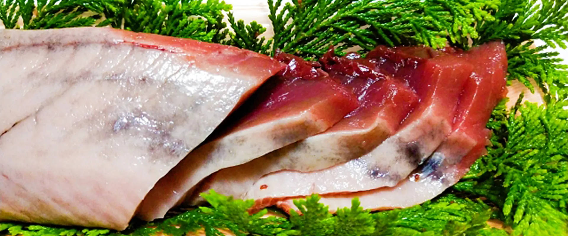 戻り鰹とは？時期と特徴