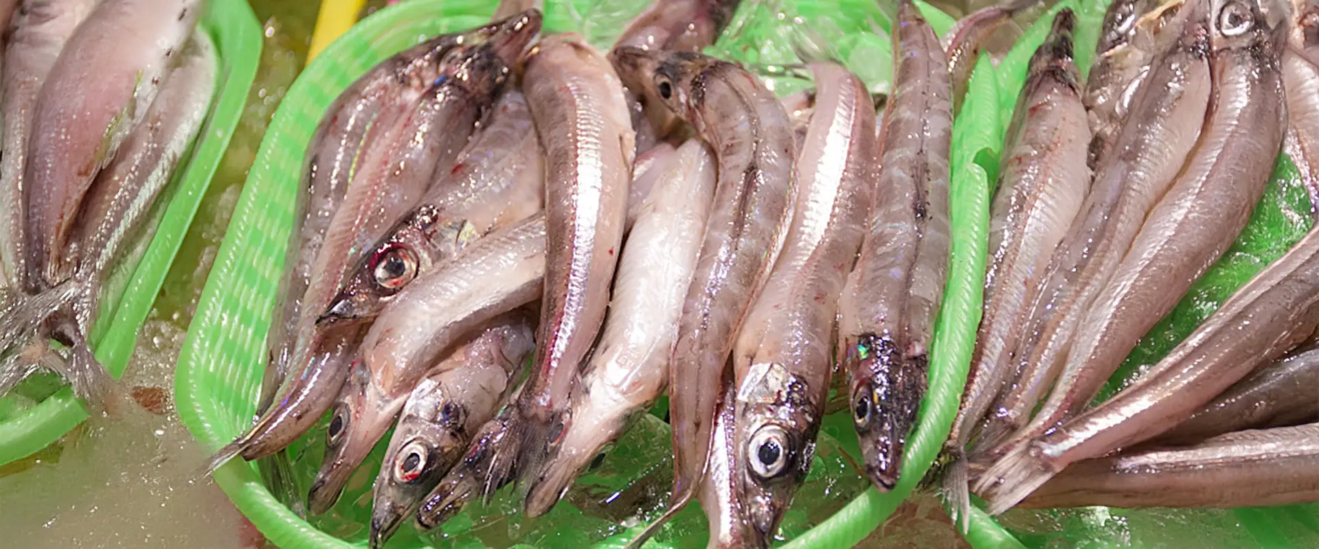 :ニギス（メギス）の食べ方は塩焼き？はらわたも食べられる？まとめ