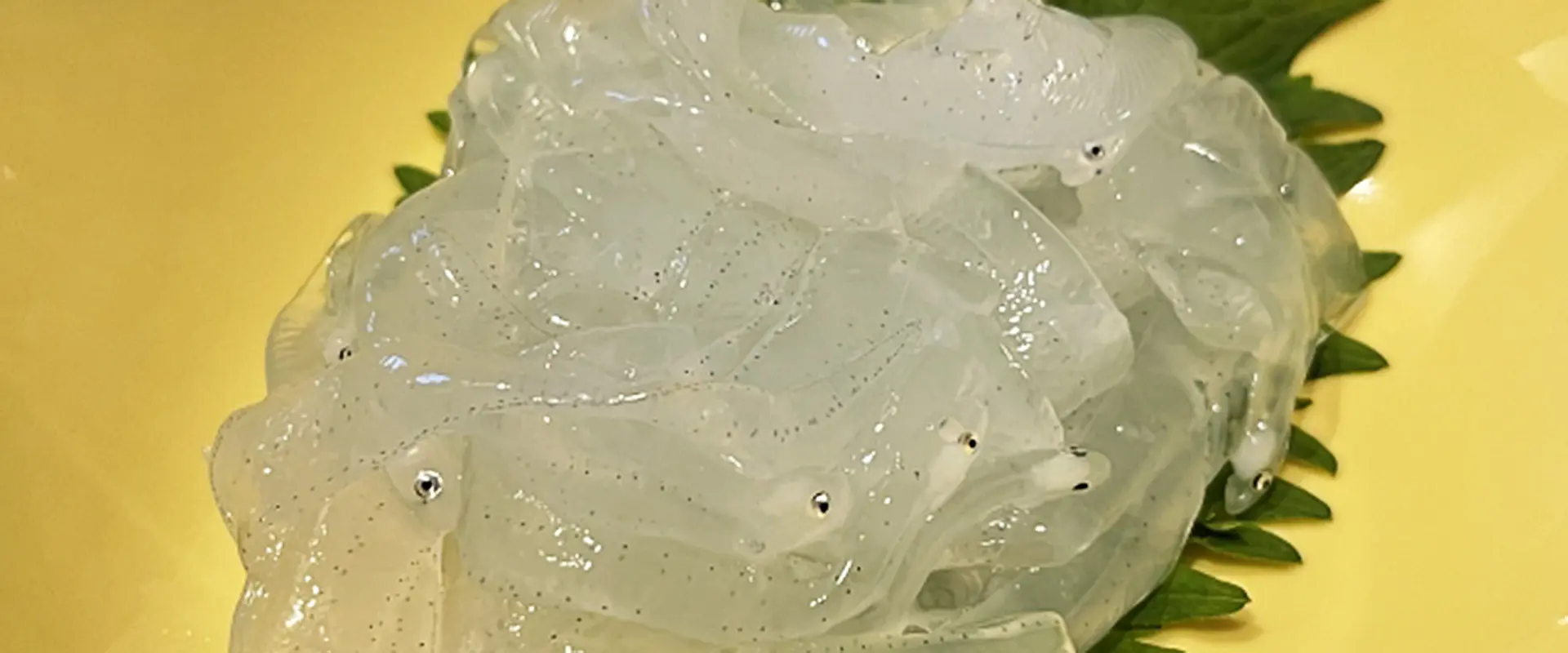 「のれそれ」の食べ方は踊り食い？