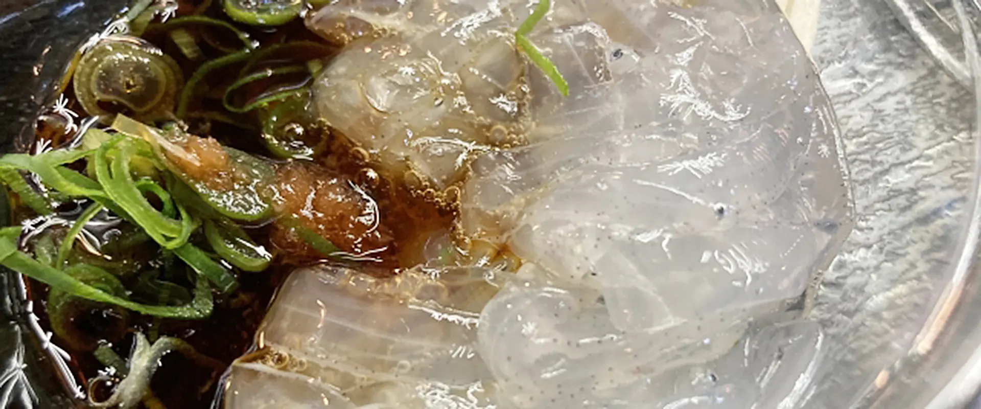 「のれそれ」ってまずいの？食べ方は踊り食い？時期と生態 まとめ