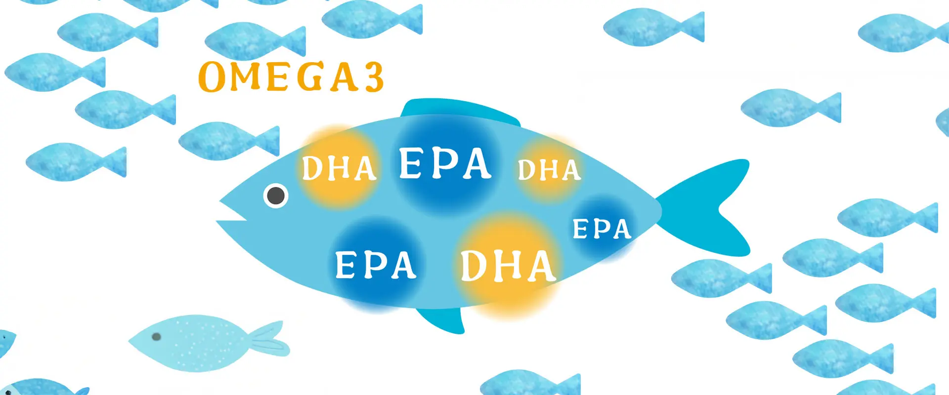 栄養の宝庫！青魚のサワラの健康効果