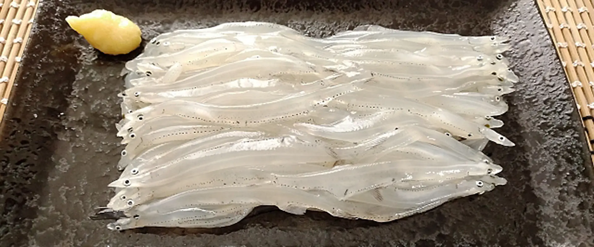 そもそも白魚（シラウオ）とは？シロウオとの違い