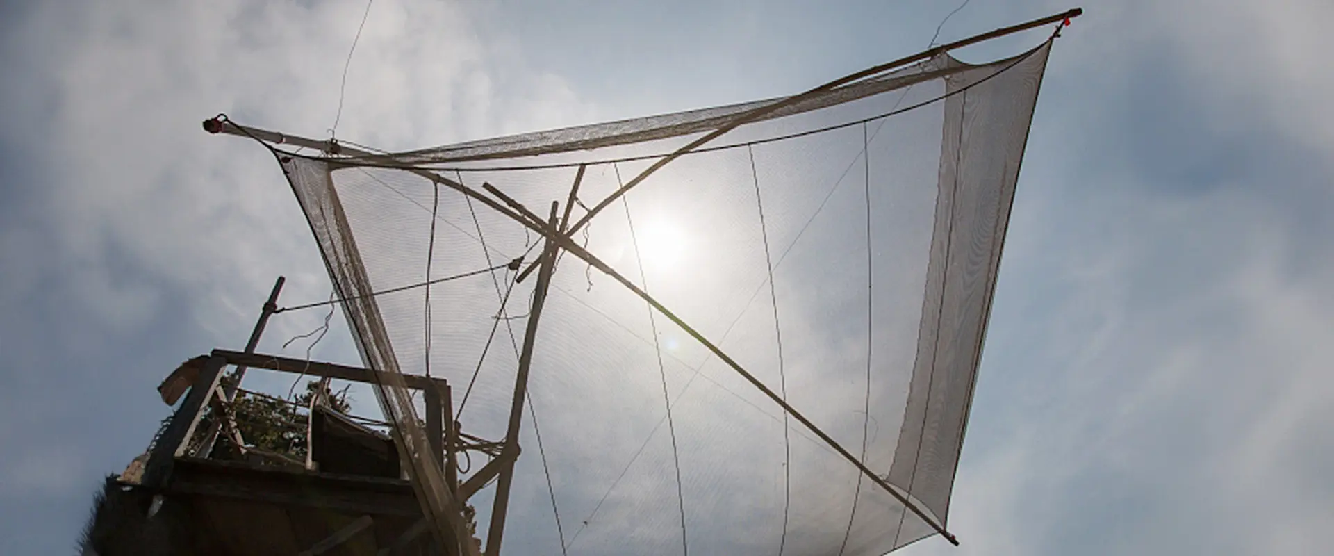 白魚（シラウオ）の踊り食いは危険？寄生虫いるの？シロウオとの違い まとめ