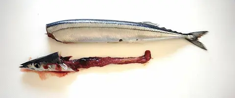 「悪い」と言われる背景にある主な理由