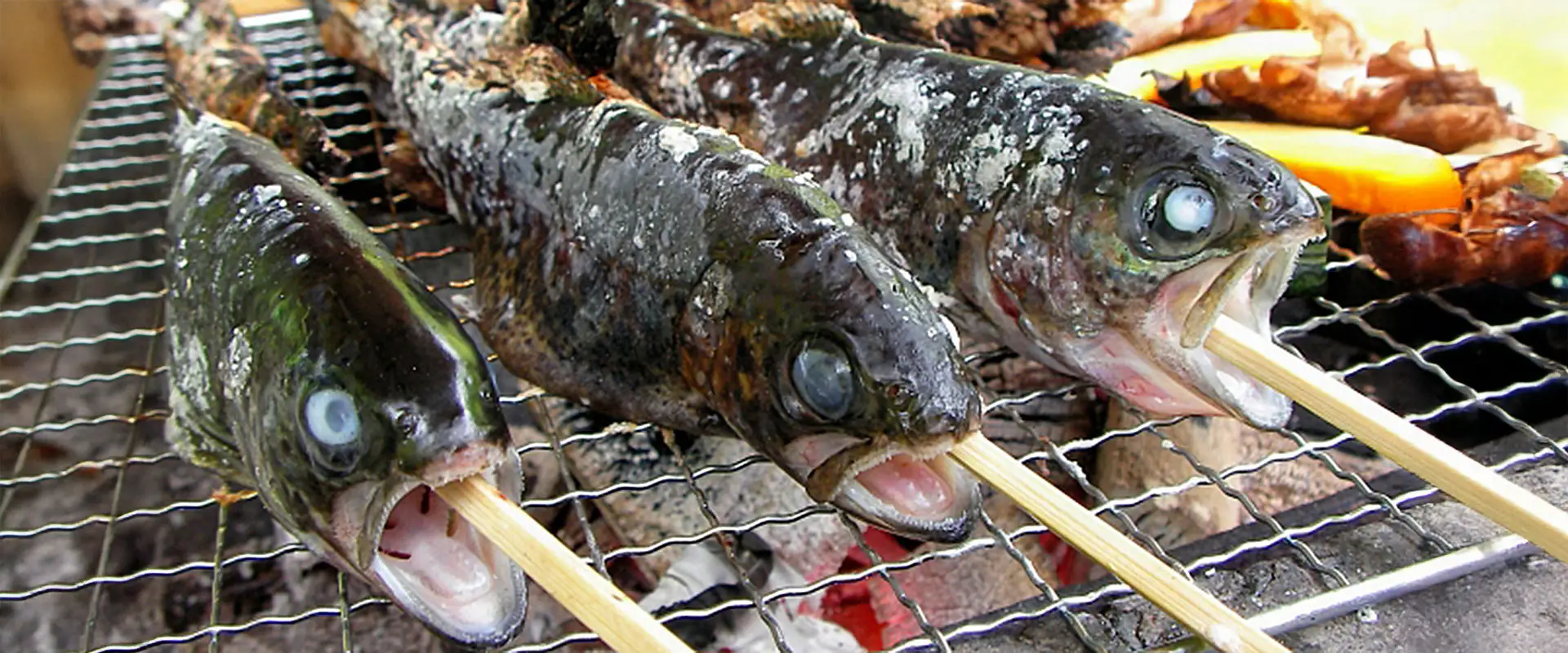 ニジマスの塩焼きが「まずい」と感じる3つの主な原因