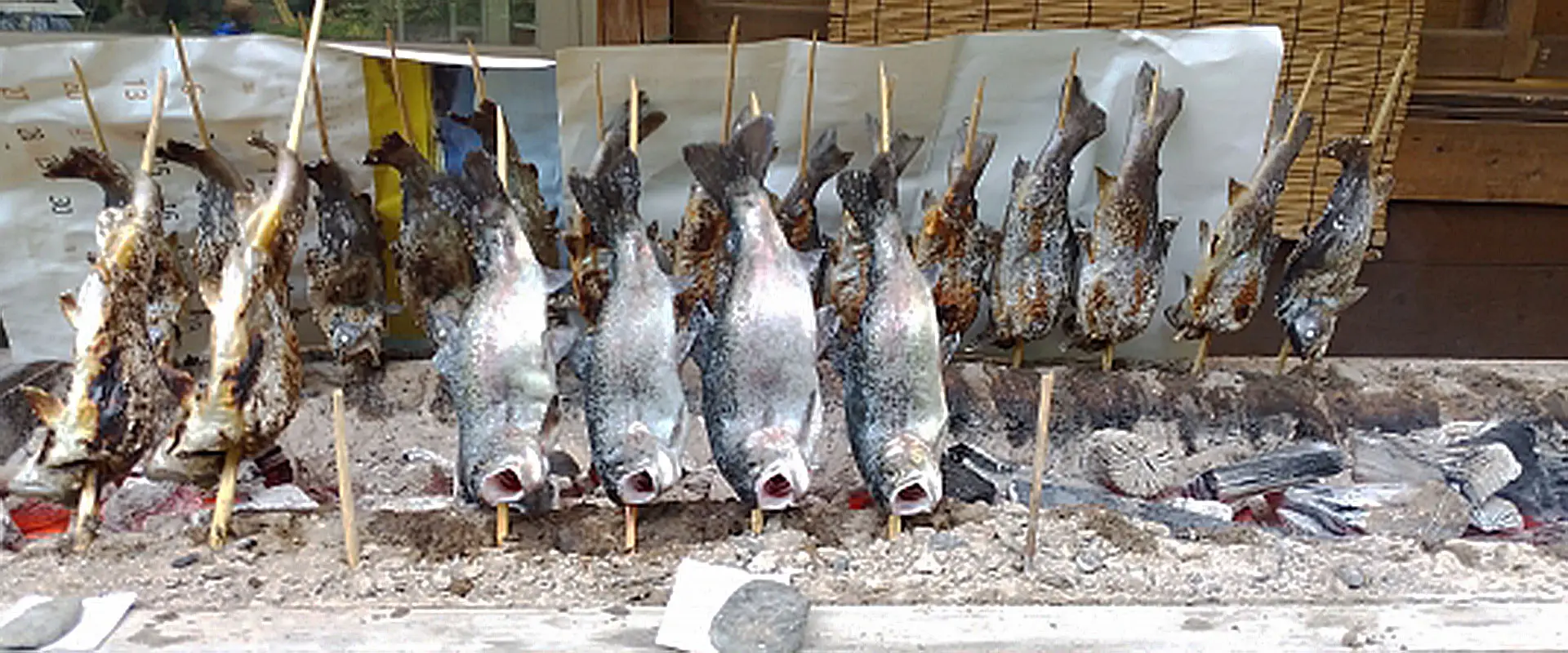 ニジマスの塩焼きを炭火で格段に美味しく仕上げるコツ