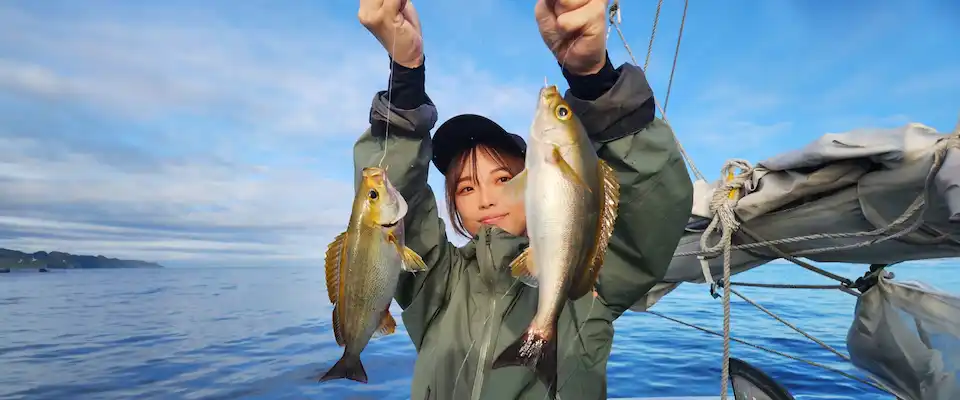 イサキの値段ってどれくらい？お刺身の味はまずいの？