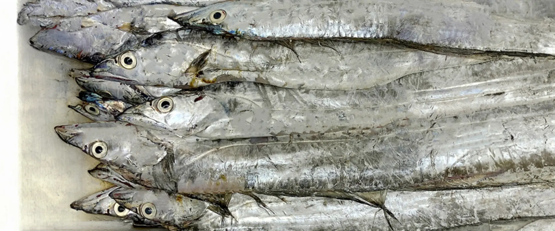 太刀魚の健康効果