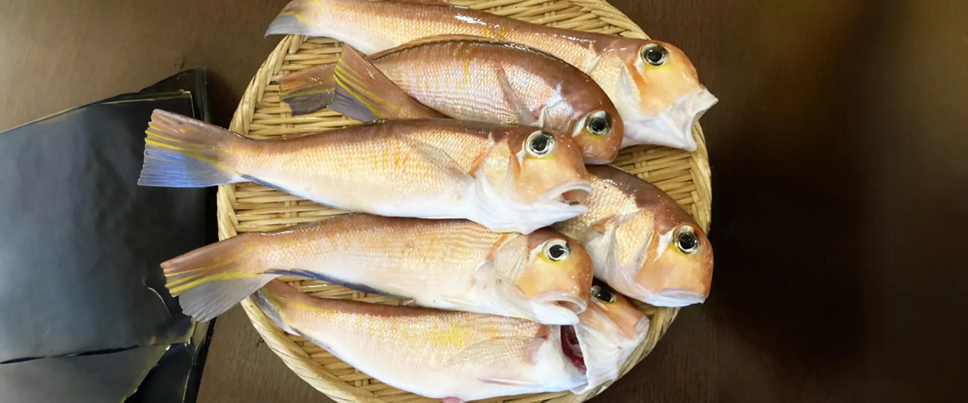 釣った甘鯛の値段はどれくらい？味はまずいの？刺身は寝かせるべき？まとめ