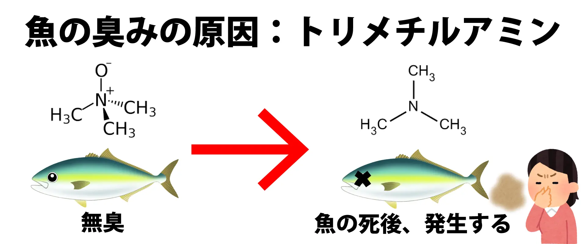 酢と清酒